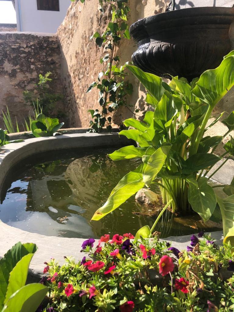 Ca Margalef - Casa Rural Con Encanto Ginestar Экстерьер фото